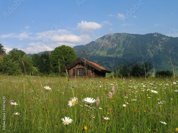 Obraz Hütte im Allgäu