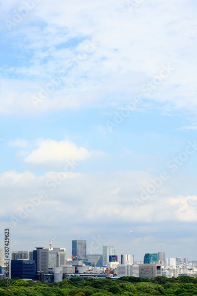 Fototapeta 東京都心と空
