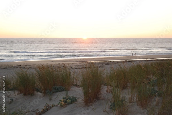 Obraz plage et végétation