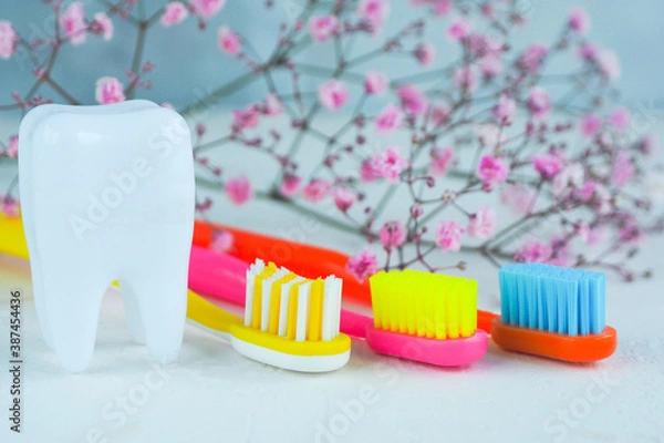 Fototapeta three bright multi-colored toothbrushes on a white table, a white figurine of a tooth and pink flowers of gypsophila.