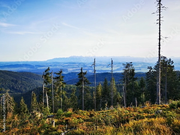 Obraz View from the top of Turbacz, Gorce. Autumn in the mountains.