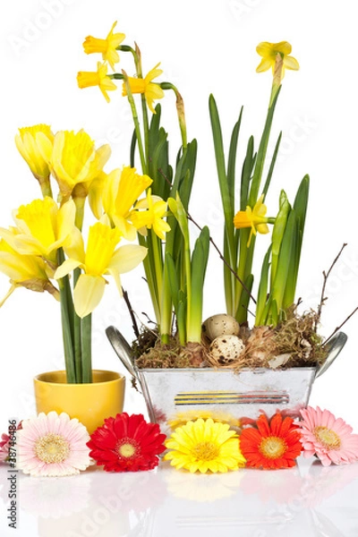 Fototapeta Farbenfrohe Osterdeko