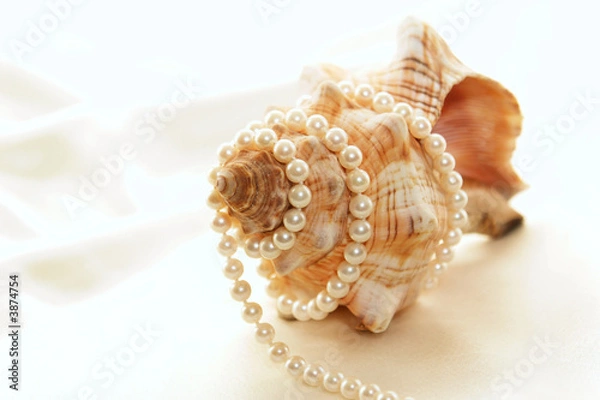 Fototapeta pearls wrapped around conch
