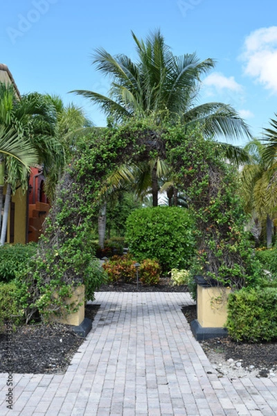 Fototapeta path in the garden
