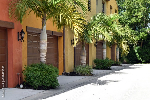 Obraz Palm Trees Between Garage Doors