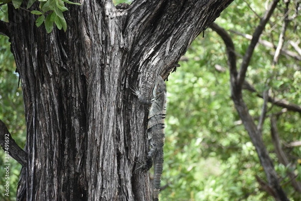 Obraz playa landscape sea 