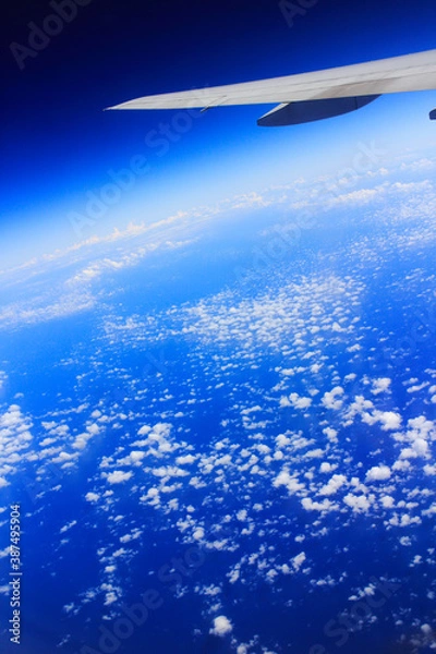 Fototapeta 翼と雲海