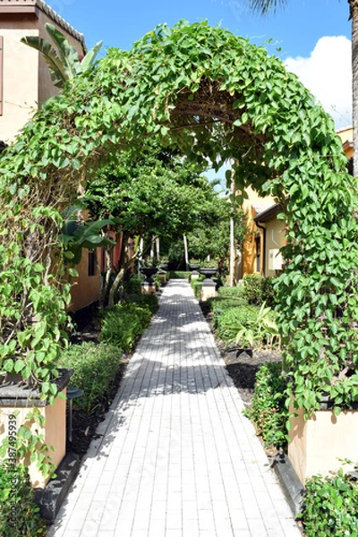 Fototapeta Path Through a Garden in Florida