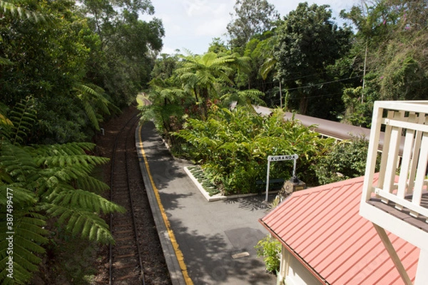 Fototapeta キュランダ鉄道