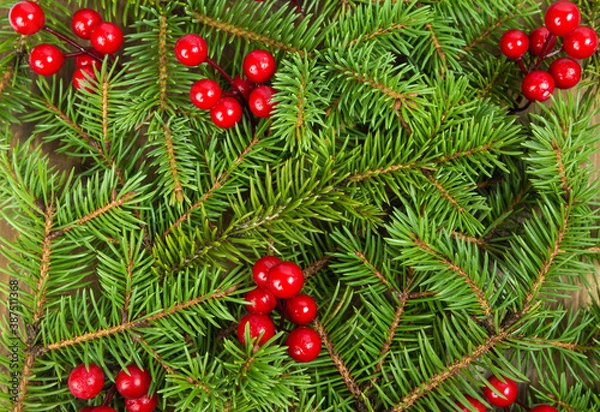 Fototapeta natural background of fir twigs. Festive background, banner with natural materials