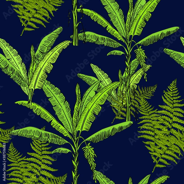 Fototapeta leaf vector background of hand drawn palm trees