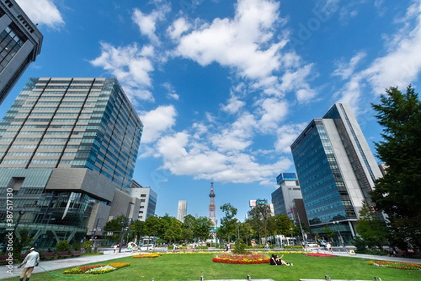 Obraz 晴れた日の大通公園 / 北海道 札幌市の観光イメージ