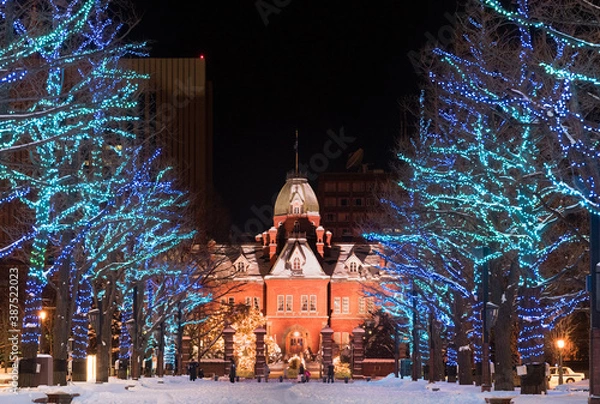 Obraz ライトアップされた冬の北海道庁赤レンガ / 北海道札幌市の観光イメージ