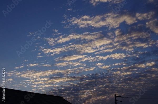 Obraz 夕暮れ時のうろこ雲
