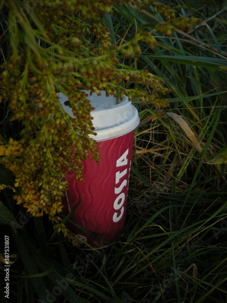 Obraz red and white cup