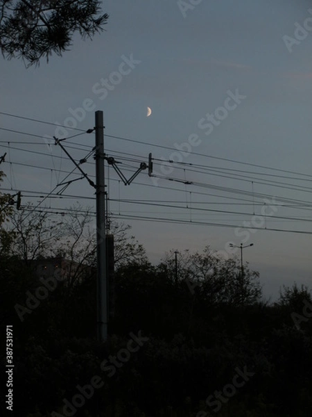 Obraz lines at sunset