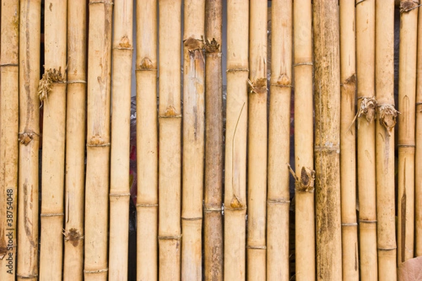 Fototapeta bamboo wall