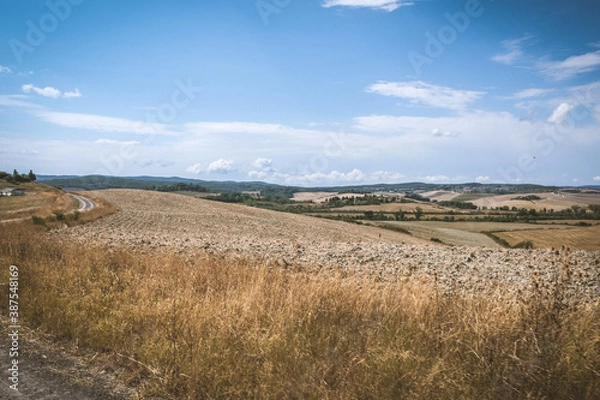Fototapeta Landscape of dirt road and fields n toscane in Italie
