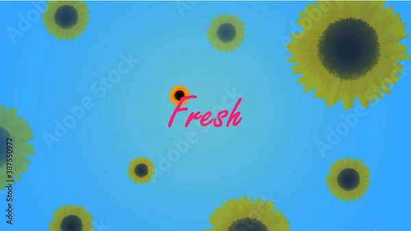 Obraz background with sunflowers