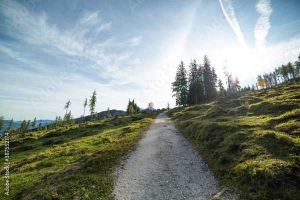 Fototapeta wanderweg