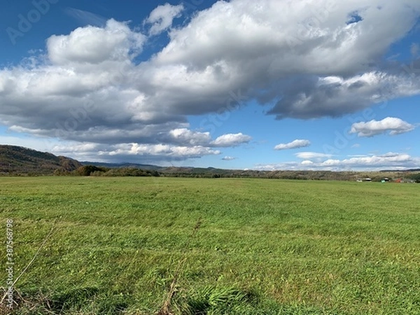 Fototapeta 北海道の牧草地