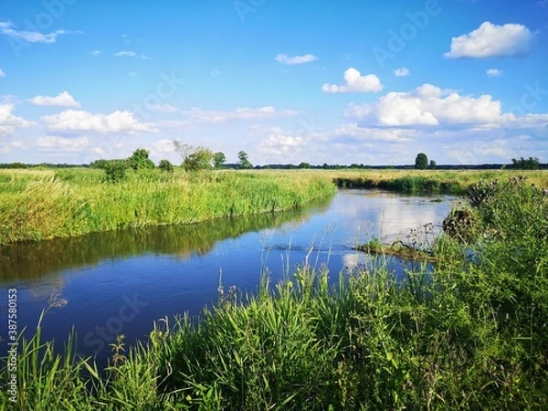 Obraz landscape with lake