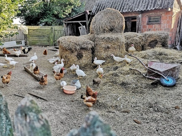 Obraz garbage on the beach