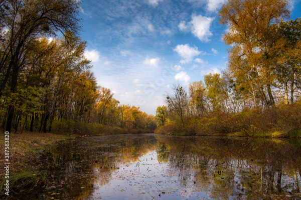 Fototapeta autumn landscape with river