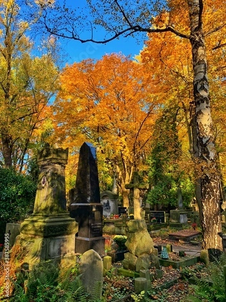 Obraz autumn in the old cementery
