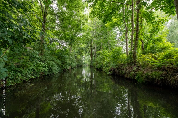 Obraz Spreewald - Kanutour
