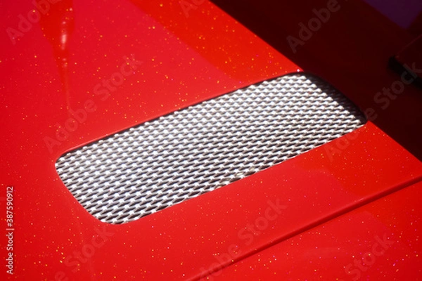 Obraz Lotus car vent