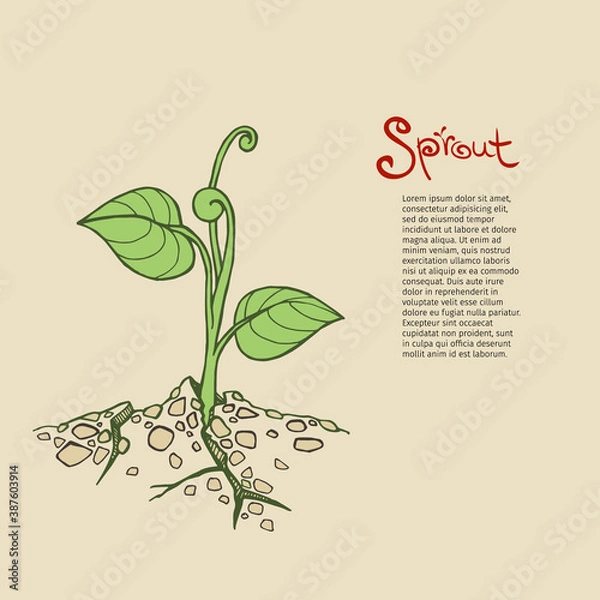 Obraz Vector sketch of young seedling, makes his way through the rocky ground or asphalt