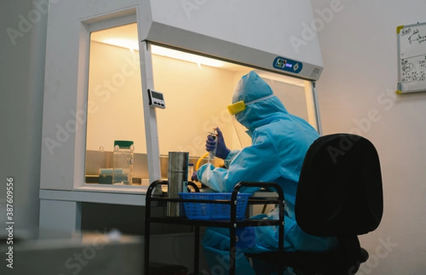 Fototapeta A scientist in PPE safty uniform pipetting sample experiment in biological safety cabinet (BSC).