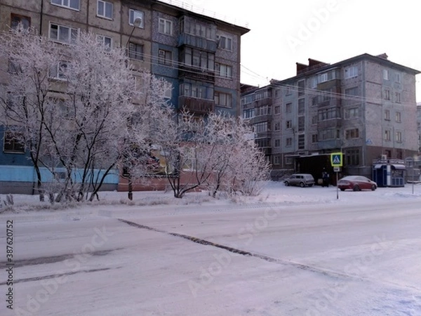 Obraz trees in the frost of snow snowy landscapes of the city North of Russia urban architecture