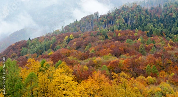 Fototapeta autumn landscape in the mountains