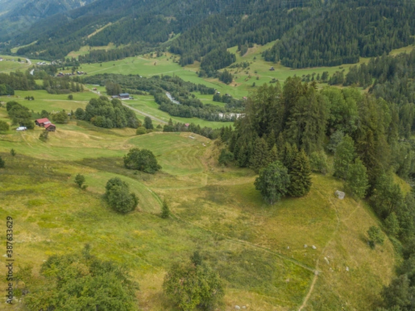Fototapeta Aerial view of Goms valley in Switzerland from above during summer. Green forest on mountain slopes in Swiss alps.