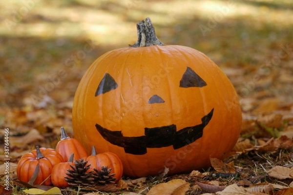 Obraz 落ち葉の上のハロウィンかぼちゃ