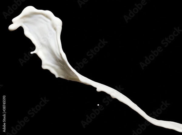 Obraz milk splash on black background