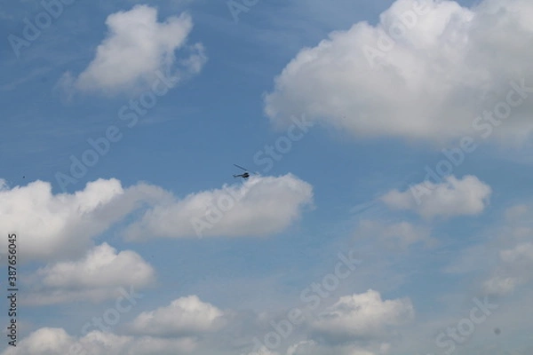 Obraz kite in the sky