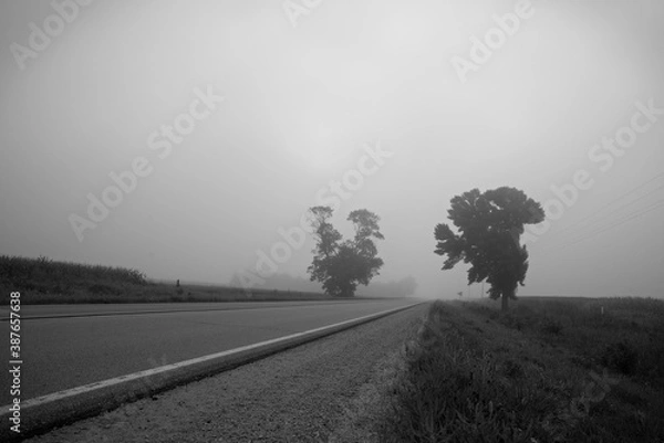 Obraz Black and White