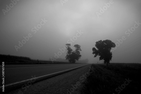 Obraz Black and White