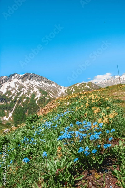 Obraz The Alps Series 9