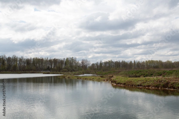 Obraz lake in the forest