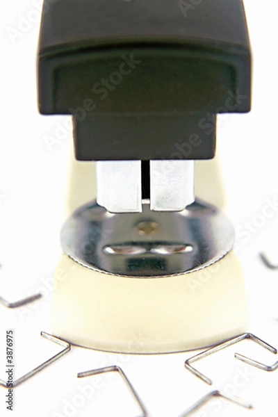 Fototapeta office stapler