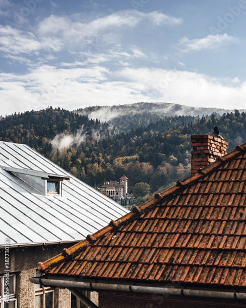 Obraz Old castel in the mountains