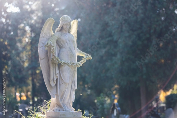 Fototapeta pomnik anioła w parku