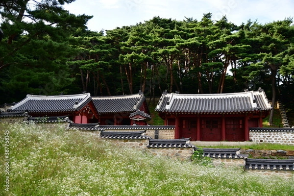 Fototapeta 고궁의 미