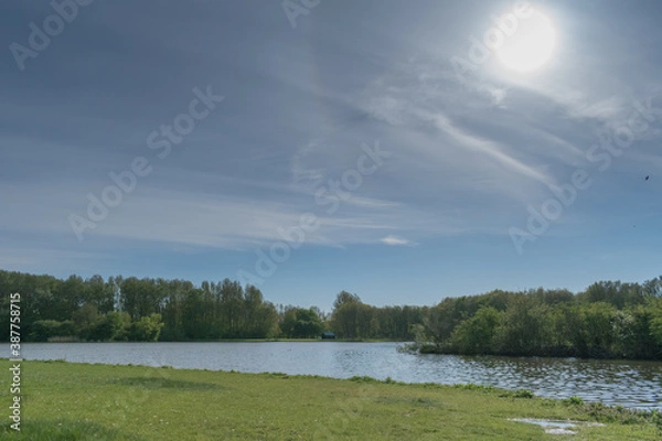 Obraz lake and forest