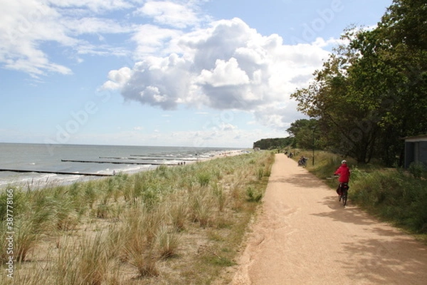 Obraz Ostseefahrradweg auf der Insel Usedom direkt entlang am Strand