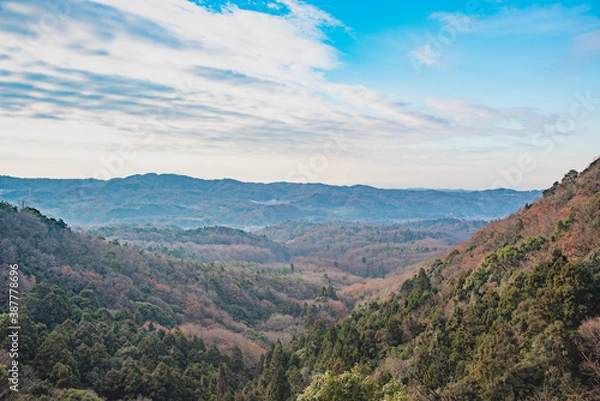 Fototapeta 神戸・六甲山裏の風景